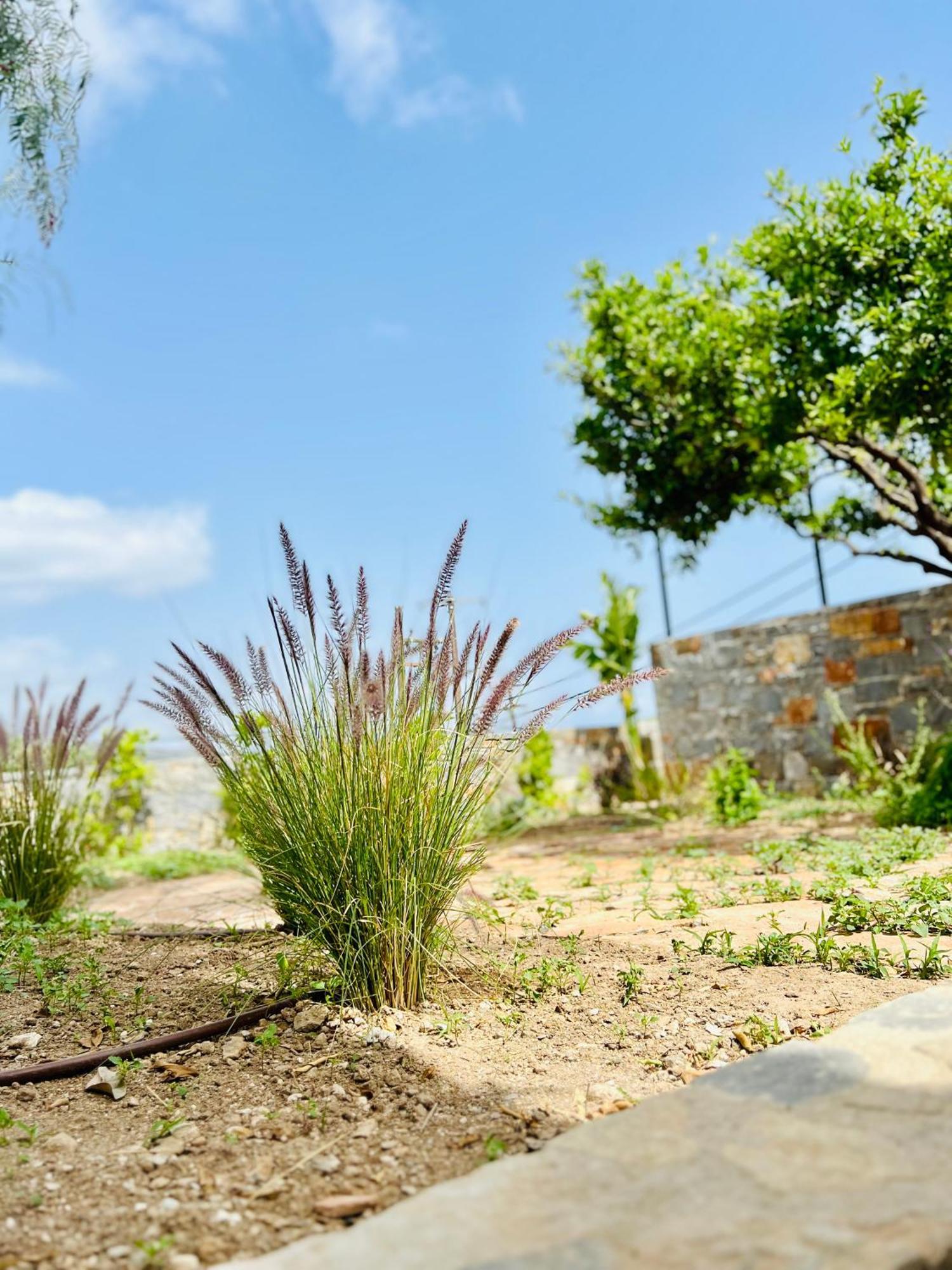 Gioma Garden Villas Istron Exterior foto