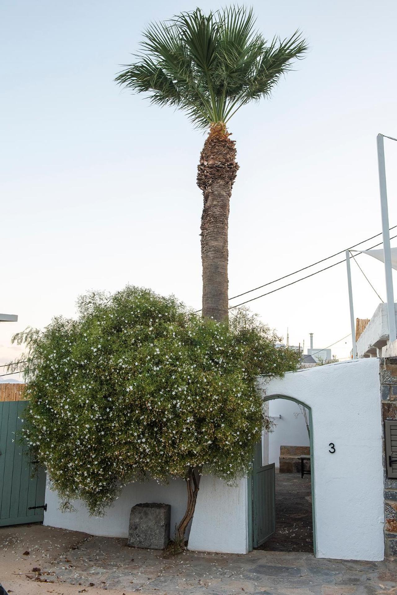 Gioma Garden Villas Istron Exterior foto